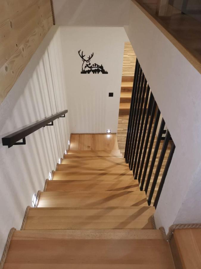 Apartament Skorusinka W Poblizu Chocholowskich Term Witow  Bagian luar foto