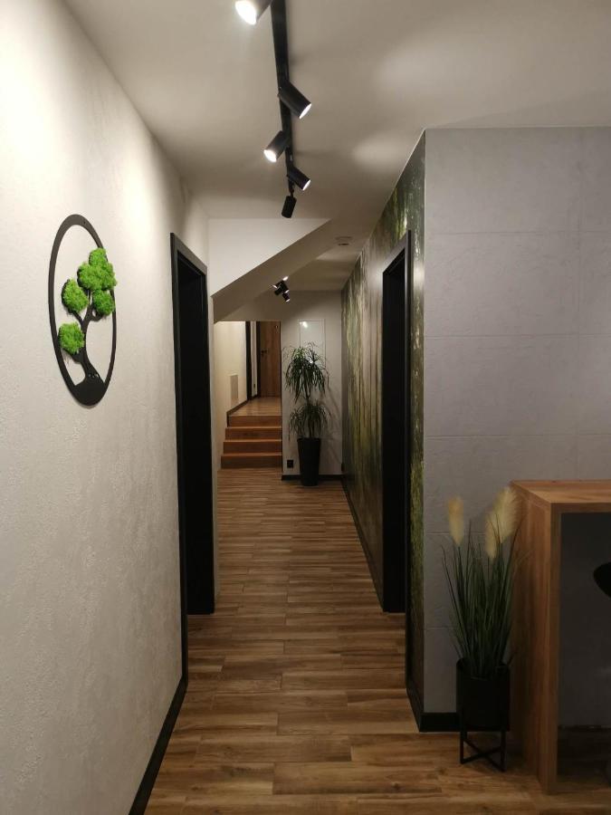 Apartament Skorusinka W Poblizu Chocholowskich Term Witow  Bagian luar foto