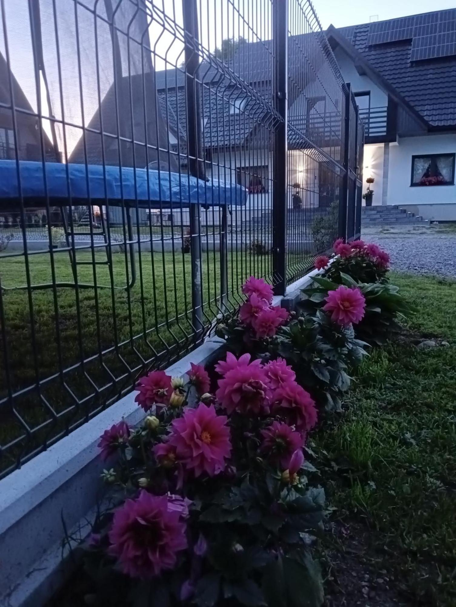 Apartament Skorusinka W Poblizu Chocholowskich Term Witow  Bagian luar foto